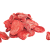 Dried Strawberry