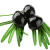 Black Olives
