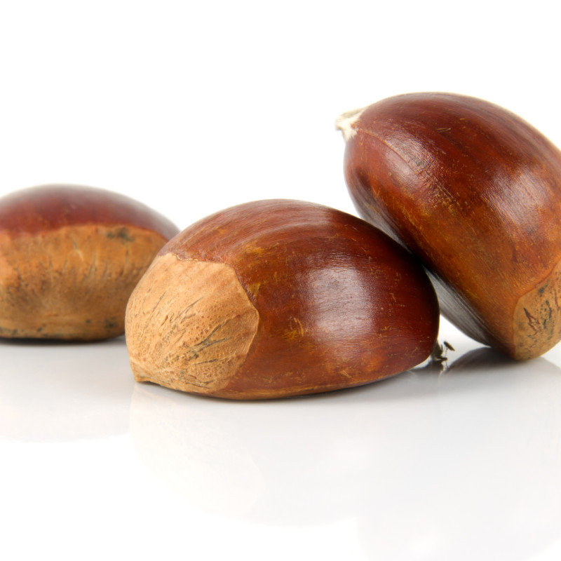 Chestnut